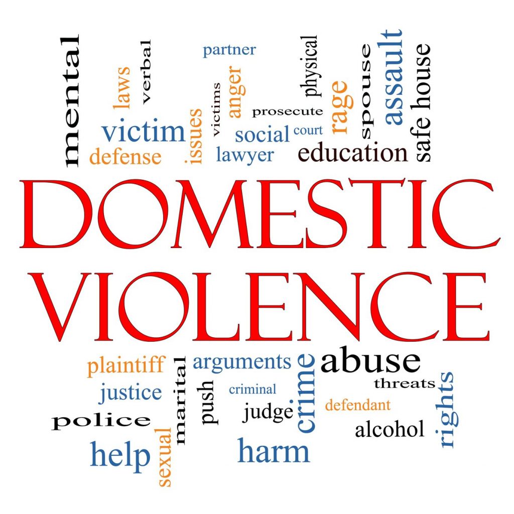 domestic violence law in florida